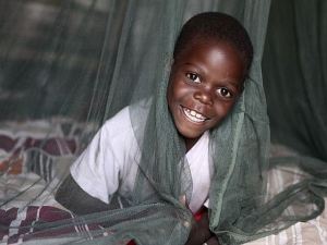 malaria-actuable.jpg