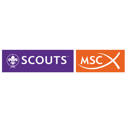 Scout-msc