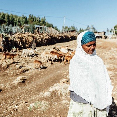 etiopia-ayuda-en-accion