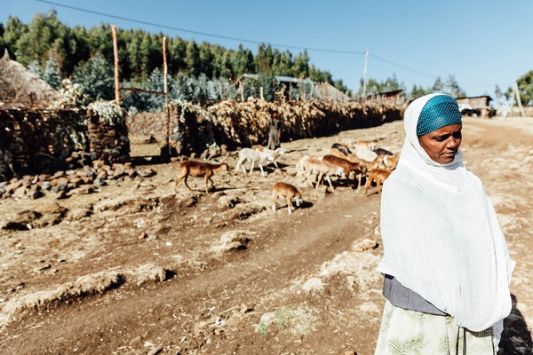 etiopia-ayuda-en-accion